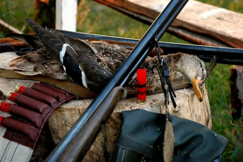 Снимок экрана 2022-09-20 110522.jpg Снимок экрана 2022-09-20 110522.jpg