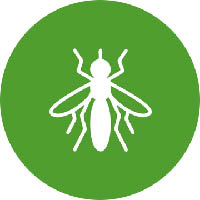 Insects_Icon_a1622297-e474-4107-89a2-57f3d771e8c2_360x.jpg